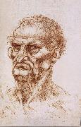 LEONARDO da Vinci Study of an old man Germany oil painting artist